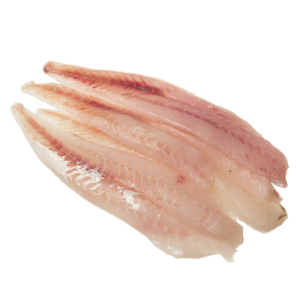 Gurnard Fillets - Price $42.90 Per KG