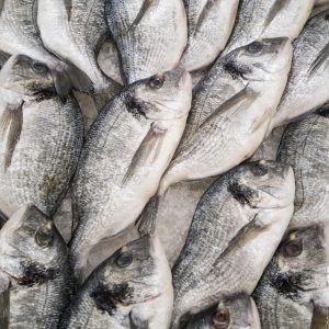 Whole Fish